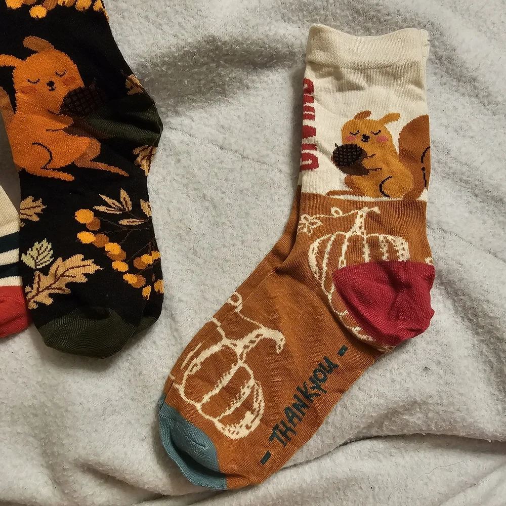 New Set Of Three Fall Squirrel Themed Socks